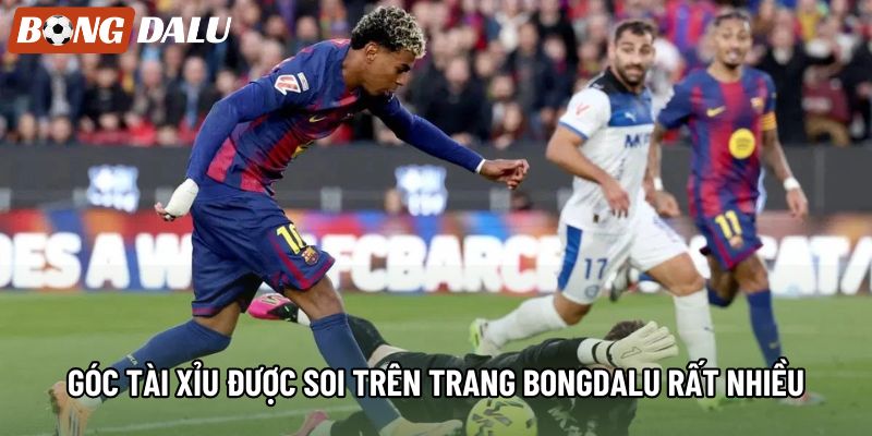 Góc Tài Xỉu được soi trên trang bongdalu rất nhiều