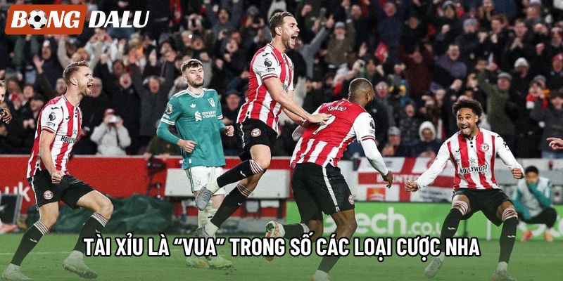 Tài Xỉu là “vua” trong số các loại cược NHA