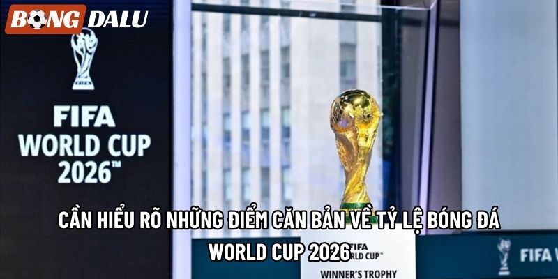 Cần hiểu rõ những điểm căn bản về tỷ lệ bóng đá world cup 2026