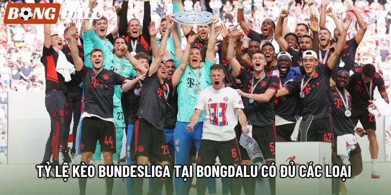 Tỷ lệ kèo Bundesliga tại bongdalu có đủ các loại 